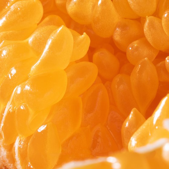 Close-Up vom Fruchtfleisch einer Orange.