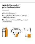 Milch- und Milchprodukte sind u.a. gute Calciumquellen.