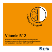 Warum vor allem Veganerinnen und Veganer auf ihre Vitamin B12-Versorgung achten müssen.