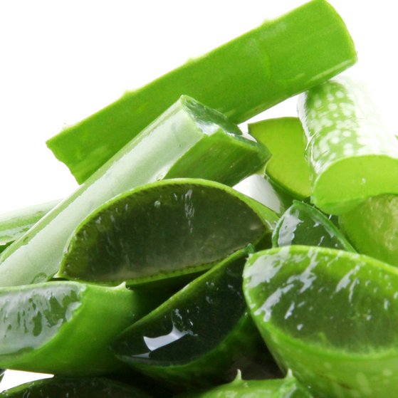 Aufgeschnittene Aloe-Vera-Stränge, in denen man das Fruchtfleisch sehen kann.